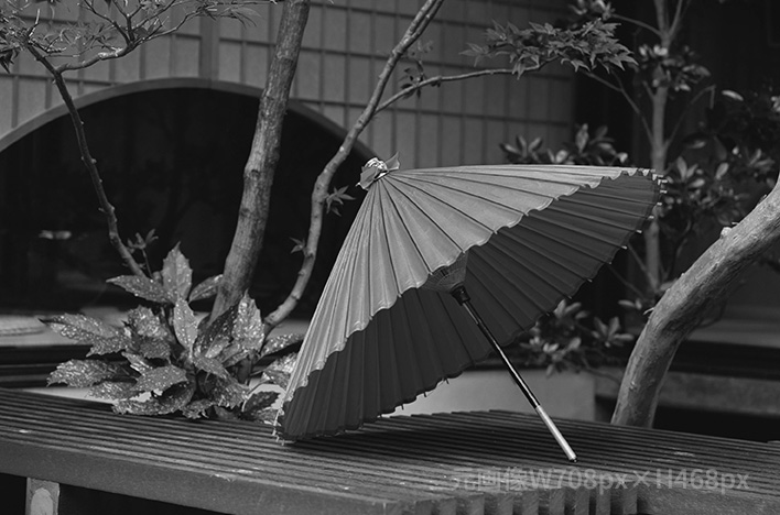 [PC用画像]画像の説明