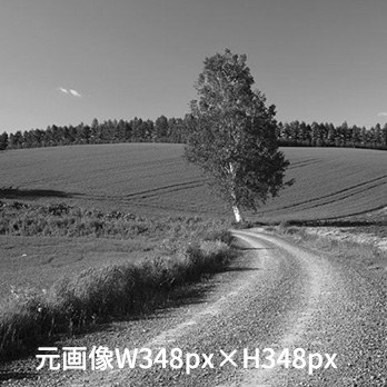 [スマホ用画像]