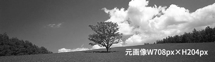 仝⑧§画像の説明